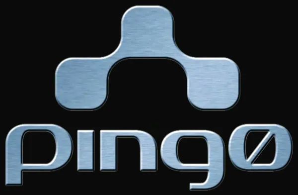 Logo: Ping0, LLC