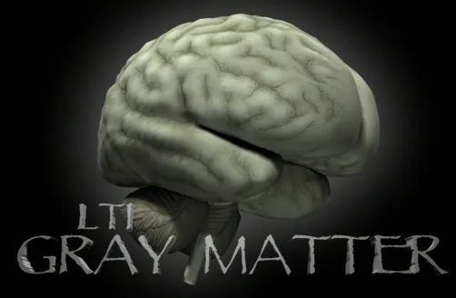 Logo: LTI Gray Matter