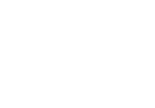 Logo: Sue The Real