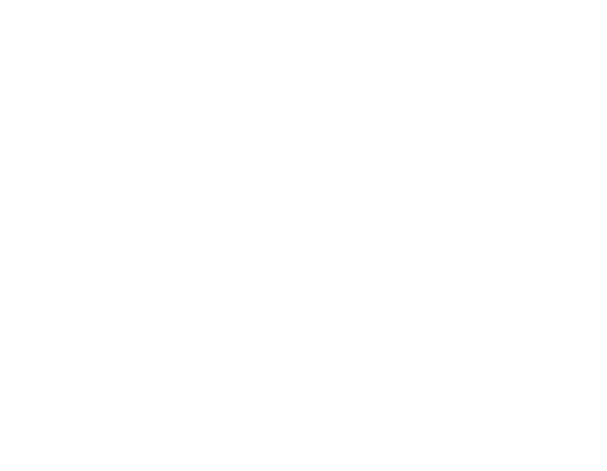 Logo: Wild Blue Studios
