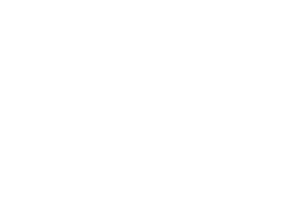 Logo: Ninesliced