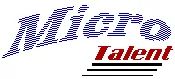 Logo: Micro Talent