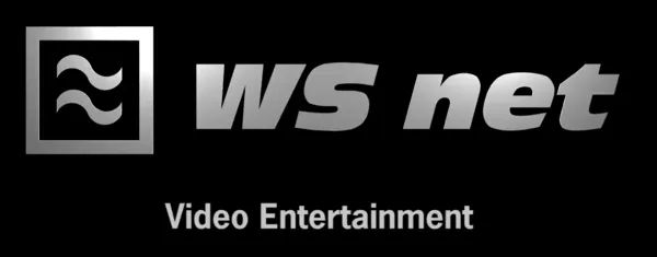 Logo: WS Net
