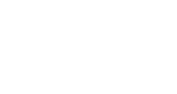 Logo: Odinsoft Inc.