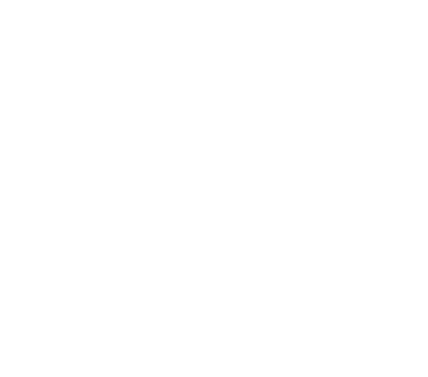 Logo: Ironwood Studios LLC