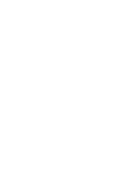 Logo: Lizard Smoothie
