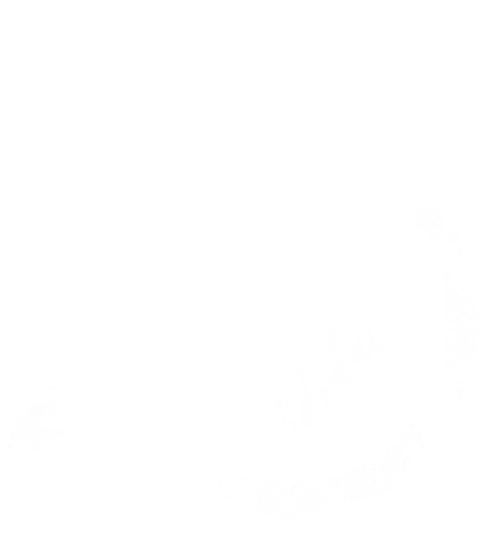 Logo: Flowing Dreams