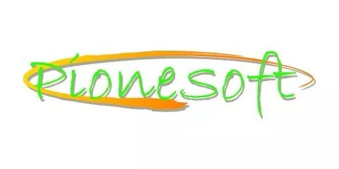 Logo: Pionesoft
