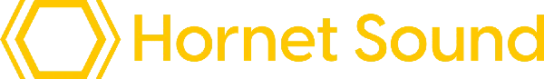 Logo: Hornet Sound