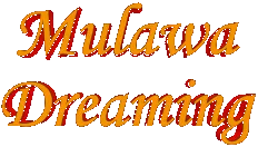 Logo: Mulawa Dreaming