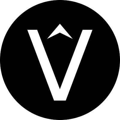 Logo: Vetra Games
