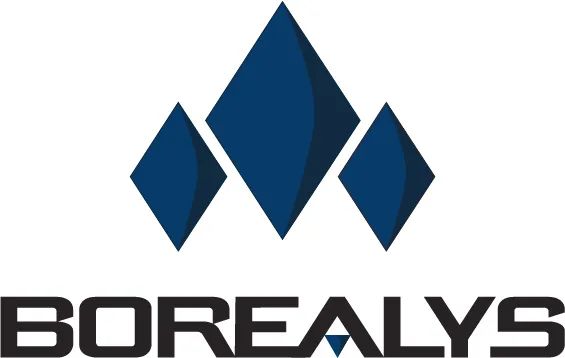 Logo: Borealys Games Inc