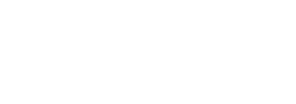 Logo: 505 Games S.p.A.
