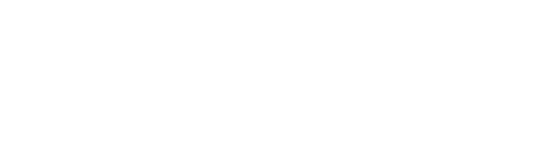 Logo: Slug Disco Studios Limited