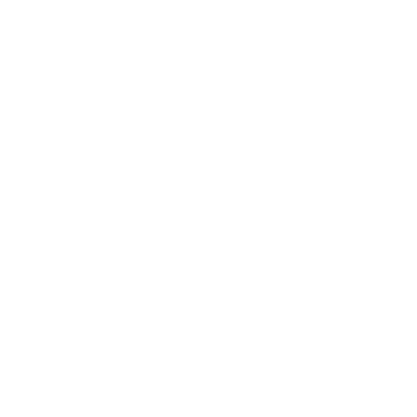 Logo: Rogueside NV