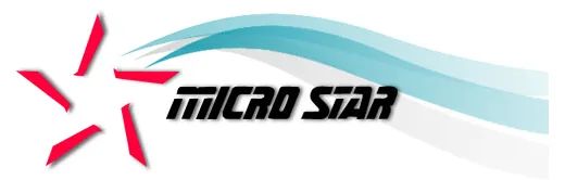 Logo: Micro Star Software