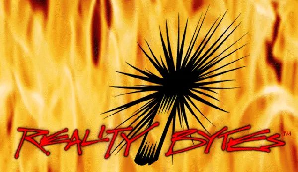 Logo: Reality Bytes, Inc.