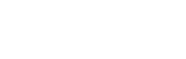 Logo: Ballistic Moon Ltd.