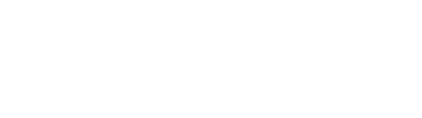 Logo: Void Pointer