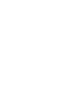 Logo: Shining Rock Software LLC