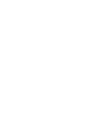 Logo: Sonera Game Studio