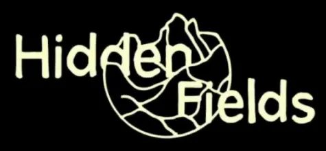 Logo: Hidden Fields