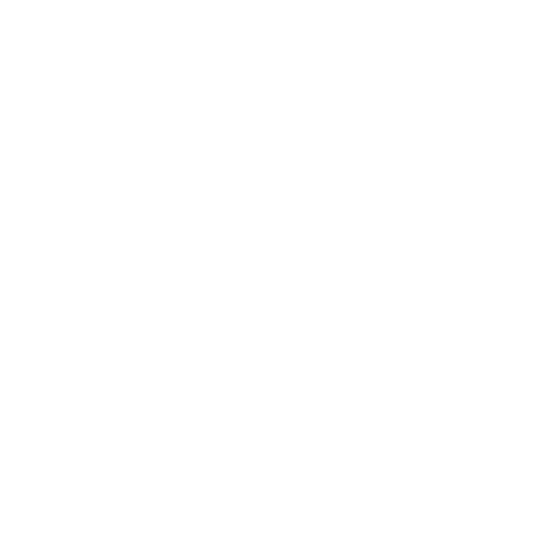 Logo: Naughty Clogs LLC