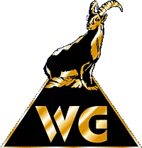 Logo: VG Werlag & Lizenzen AG