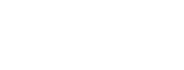 Logo: Neonic Game Studios