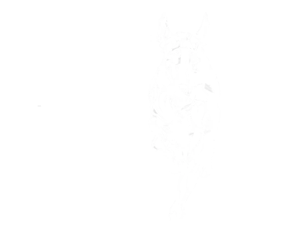 Logo: Dogubomb, Inc.