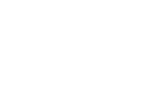 Logo: TrueWorld Studios
