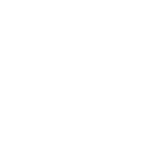 Logo: Saber Interactive, Inc.
