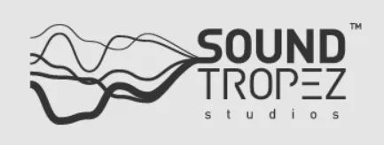 Logo: Roboto Sound