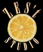 Logo: Zes't Studio