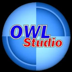 Logo: Owl Studio