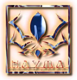 Logo: Nayma Software