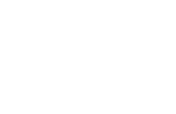 Logo: Studio Bravarda
