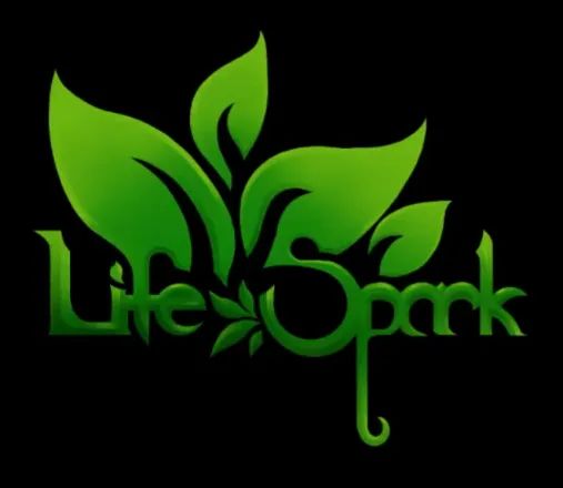 Logo: LifeSpark Entertainment LLC