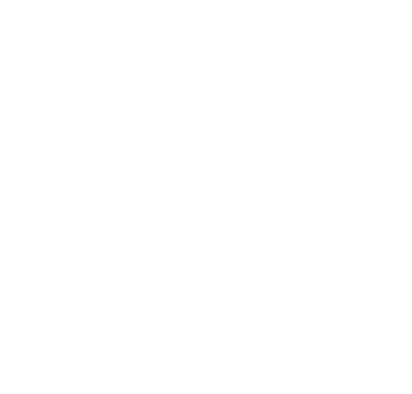 Logo: Signal Space Lab Inc.