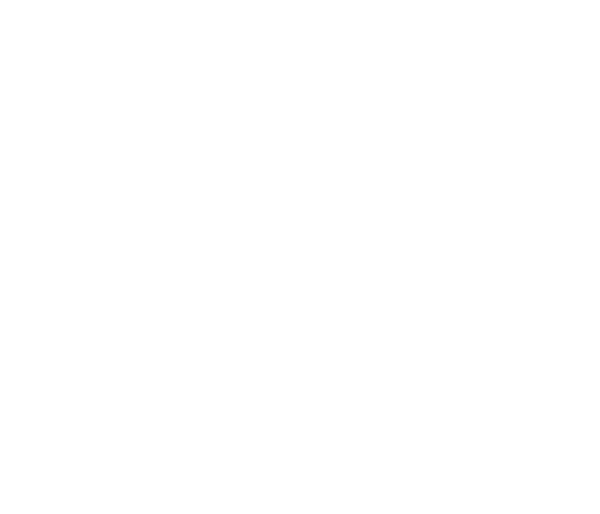 Logo: MidBoss, LLC.
