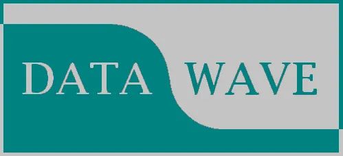 Logo: Data Wave Software Technology