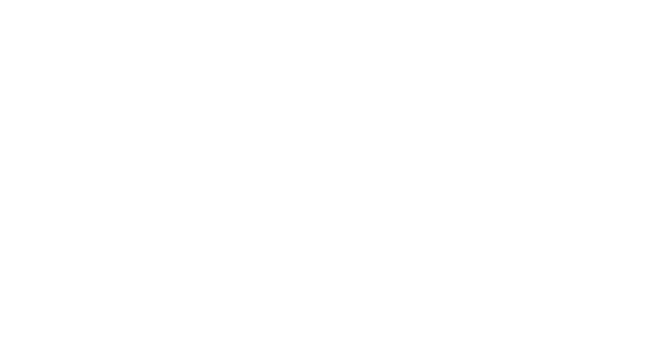 Logo: Level Infinite