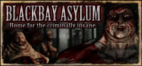 Game cover: Blackbay Asylum: Home for the Criminally Insane