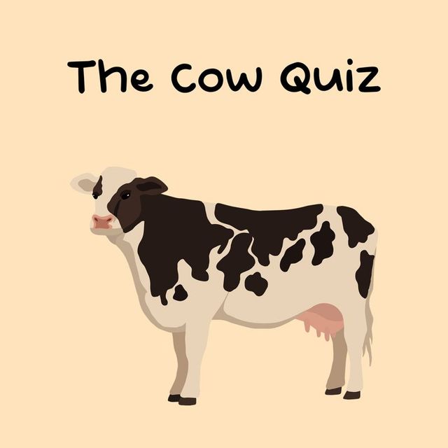 Game cover: The Cow Quiz