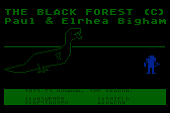 Game cover: The Black Forest