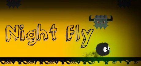 Game cover: Night Fly