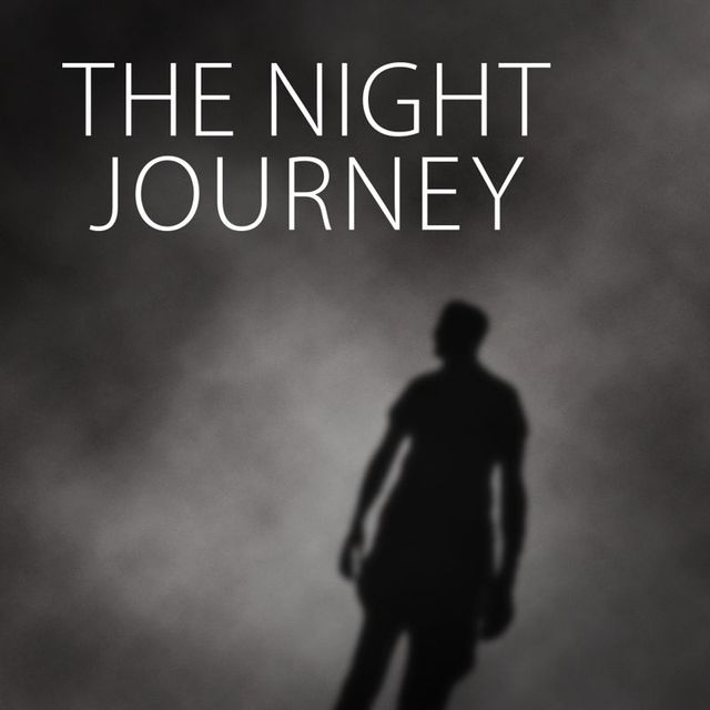 Game cover: The Night Journey