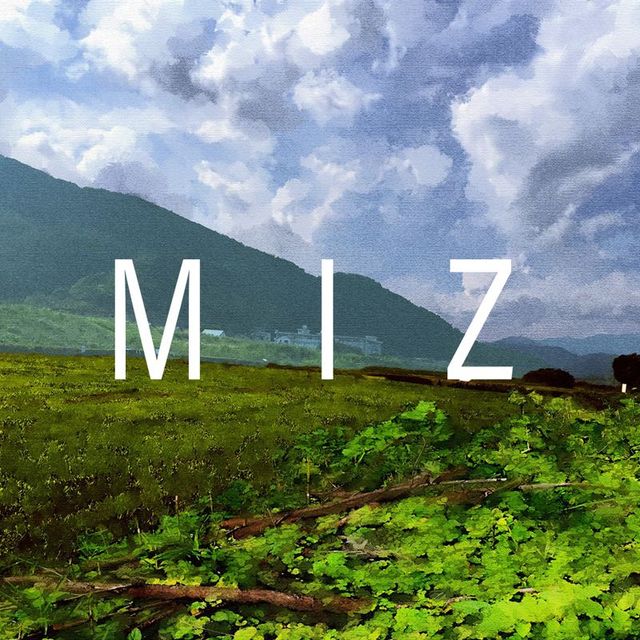 Game cover: MIZ