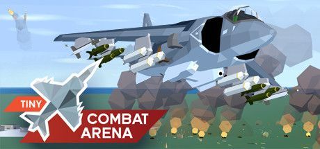 Game cover: Tiny Combat Arena