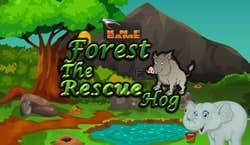 Game cover: Forest Hog Rescue